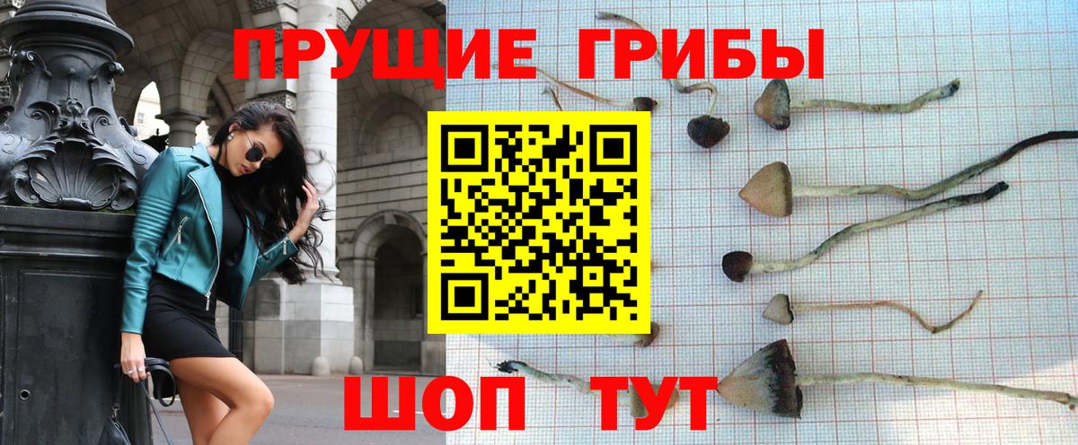 Галлюциногенные грибы Magic Shrooms  Вход с VPN  магазин  наркотиков  Мирный 